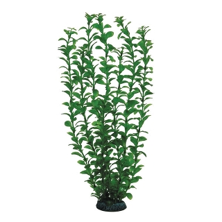 Растение 4689 "Людвигия" зеленая, 400мм, (пакет)