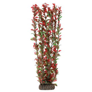 Растение 4690 "Людвигия" красная, 400мм, (пакет)