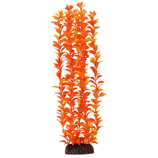 Растение 4691 "Людвигия" оранжевая, 400мм, (пакет)