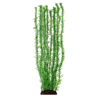 Растение 5570 "Лигодиум" зеленый, 500мм, (пакет)