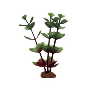 ArtUniq Bacopa red-green Set 6x10 - Набор искусственных растений Бакопа крано-зеленая, 10 см, 6 шт