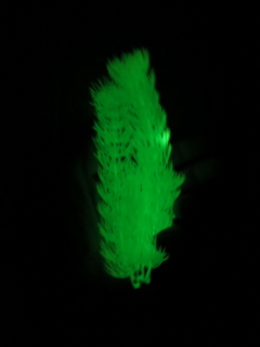 Растение светящееся в темноте 20см