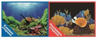 Фон двухсторонний с одной самоклеящейся стороной Морские кораллы/Подводный мир 30x60см 9096-1/9097+