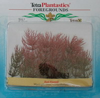 Перистолистник красный 10см, растение пластиковое TetraPlantastics®