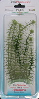 Элодея (Anacharis) 23см, растение пластиковое TetraPlantastics®