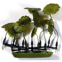 Растение пластиковое зеленое Марсилея