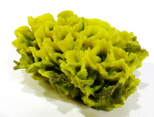 Коралл пластиковый 13,5х10х6см (SH041)