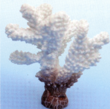 Коралл пластиковый белый 10,2х7,2х12см (SH9203W)