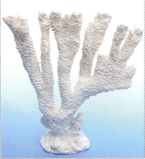 Коралл пластиковый белый 25х7х25см (SH064W)
