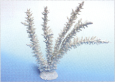 Коралл пластиковый белый 34х7х28.5см (SH017W)