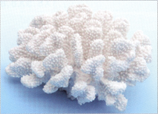 Коралл пластиковый белый большой 20х19х9,5см (SH9009XLW)