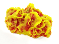 Коралл пластиковый желто-красный 14х12х7см (SH011RY)