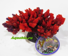 Коралл пластиковый красный 14х11,5х6,5см (MA116R)