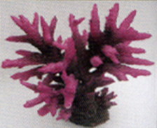 Коралл пластиковый перламутровый 39х38х32,5см (SH019PI)