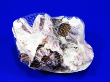 UDeco Barnacle - Натуральная декорация "Морской жёлудь" для оформления аквариумов, размер 5-10 см, упаковка 0,2 кг