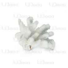 UDeco Finger Coral S - Коралл пальчиковый маленького рамера для оформления аквариумов, 1 шт.