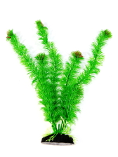 Растение пластиковое Кабомба 30 см M036/30