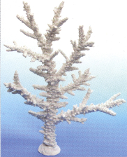 Коралл пластиковый белый 43х20х56,5см (SH9081W)