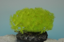 Коралл пластиковый желтый 10х10х10см (CA006Y)