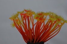 Коралл силиконовый желто-красный 5х5х10см (SH188RY)