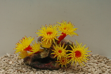 Коралл силиконовый желтый 20х12х14см (SH208Y)