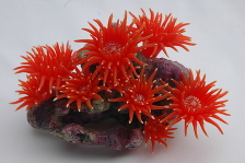 Коралл силиконовый красный 20х12х14см (SH208R)