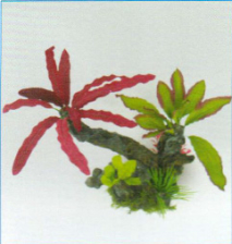 Композиция из искусственных растений и коряги 36х18х22см (ST369A-2)