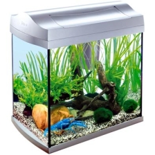 Аквариум для раков AquaArt Crayfish Discover Line 30л 38х26х42см