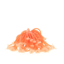 Коралл силиконовый на керамической основе, оранжевый, 13х13х10см (RT187OR)