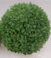 Растение пластиковое Коврик-шар D=22см зеленое (2847_22)