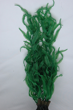 Растение шелковое, морские водоросли 60см