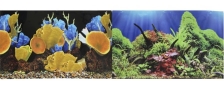 Фон для аквариума двухсторонний Морские кораллы/Подводный мир 60х150см (9096-1/9097)