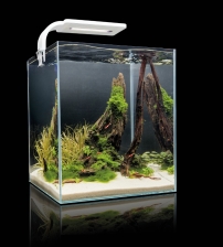 Aквариум  SHRIMP SET SMART LED PLANT ll 10 / белый (10 л)