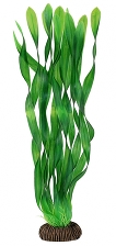 Растение 3455 "Валлиснерия" зеленая, 350мм, (пакет)