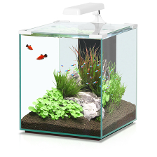 NANO CUBIC Аквариум 40л белый (025) 30х35х48см LED-светильник 6w Фильтр Mini Biobox 2