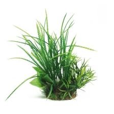 ArtUniq Hygrophila pinnatifida mix 20 - Композиция из искусственных растений Гигрофила перистонадрезанная, 20 см