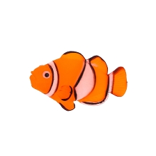 Флуорисцентная аквариумная декорация GLOXY Рыба клоун на леске, 7х2,5х4см