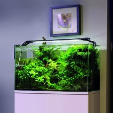 Cветильник для аквариума  LEDDY SLIM  16W DUO SUNNY & PLANT черный
