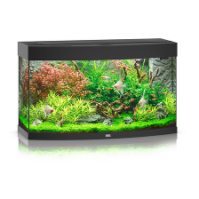 VISION 180 LED аквариум 180л черный (Black) 92х41х55см 2х19W Фильтр Bioflow M, Нагр200W